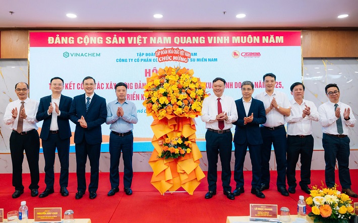 casumina triển khai 1